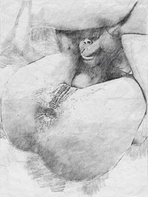 anal sex is normal - Ass to mouth - Wikipedia