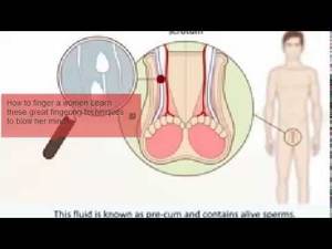 Anime Gender Change Porn - 