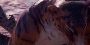 cartoon tiger foucking porn chick - Furry Porn - Tiger and Leopard. Sex and cum (Wild Life game) - Tnaflix.com