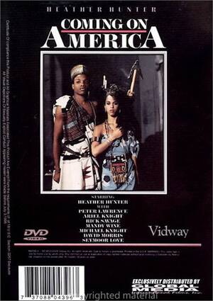 Coming America Porn - Coming On America | Global Media | Adult DVD Empire