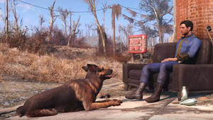 Fallout Dogmeat Porn - #1196058 - 3d, animated, artist:skunkfrakker, bestiality, bottomless, cg,  clothes, dog, doggy style, dogmeat, drugs, explicit, fallout equestria,  female, ...