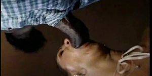 Mennonite Farm Girls Porn - Mennonite finds his wife sucking off the black farmhand