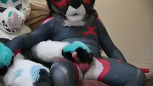 Furry Sex Costume Porn - furry costume Gay Porn - Popular Videos - Gay Bingo