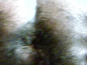 hairy indian butts - 