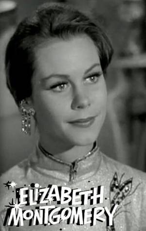 Elizabeth Montgomery Animated Porn - Elizabeth Montgomery, Bewitched Cast, Chickadees, Champagne, Television,  Beautiful People, Television Tv, Pretty People, Willow Tit