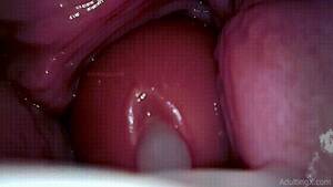 Internal Vagina Porn - Camera In Vagina Porn GIFs | Pornhub