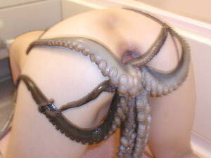 japanese octopus porn - Cephlorotica/Octopus Sex | Goatfucker.com
