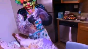 Fat Clown Porn - Weird Birthday Party. : r/WTF