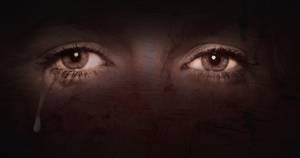 Nfs Carbon Porn - LANSING STATE JOURNAL