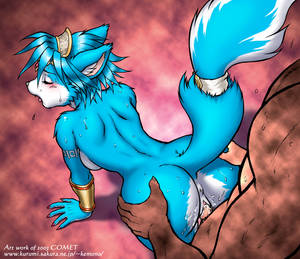 krystal star fox cartoon porn - Image