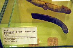 1940s Chinese Porn - It is believes that had the Chinese fully realised the potential of their  18th century erotic techologies, internet porn would have become widespread  in the ...