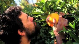 Fruits - Fruits Porn