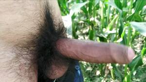 Hairy Big Dick Porn - Hairy Big Cock, Lund Porn Video HD