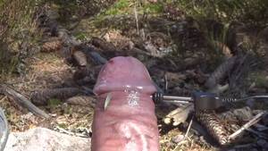 Gay Insect Porn - Insects on my cock - ThisVid.com