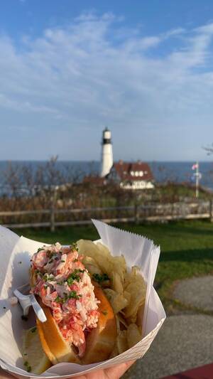 Lobster Porn Slap - Maine Lobster Roll with a view : r/FoodPorn