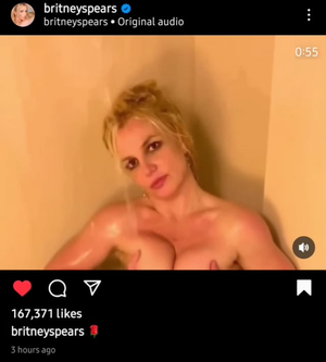 Hardcor Sex Tapes Britney Spears - oops.. she did it again : r/facepalm