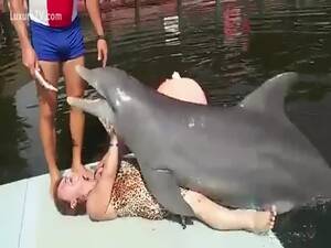 Girls Having Sex With Dolphins - Woman got fucked by a dolphin - LuxureTV