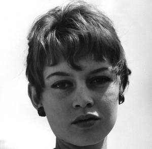 Brigitte Bardot Porn - bb-cover