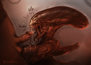 Alien Female Xenomorph Porn Blowjob - A xenomorph giving a blowjob [Alien franchise] : r/rule34