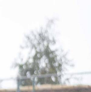 josh yost amateur homemade sex tapes - Santa Barbara Independent 6/15/23 by SB Independent - Issuu