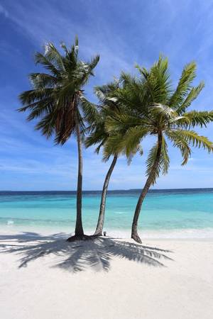 chubby slut wife cara mia - 