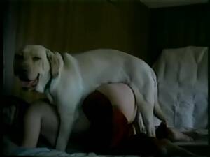 Girl Fucked By Furry - Hot teen fucked by her furry buddy - LuxureTV