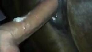 Equine Pony Mare Pussy - Mare pussy getting stretched by a horny dude