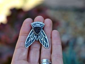 Black Jewelry Porn - Black Drusy rings. Sterling Silver rings. Adjustable size. Insect jewelry.  Bug ring