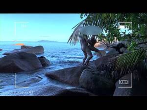 honeymoon beach private nudist couples - voyeur spy nude couple having sex on public beach - projectfiundiary -  PORNORAMA.COM