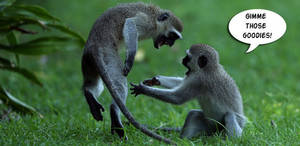 Avatar Animal Porn - Monkeys Pay for Porn