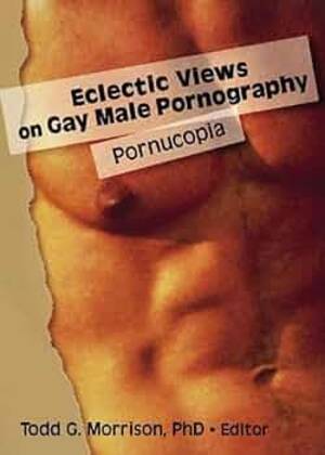 Male Pornography - Eclectic Views on Gay Male Pornography: Morrison, Todd G.: 9781560232919:  Amazon.com: Books