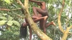 Africa Sauvage - Africa x sauvage 1 porno de sexo at RajWap.center