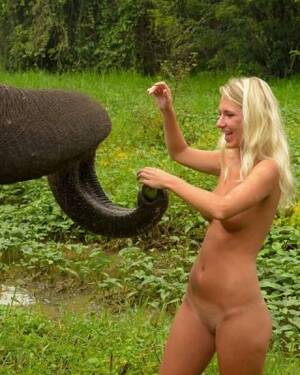 Girls Having Sex With Elephants - Foreign girl nude with an elephant in Sri lanka Porn Pictures, XXX Photos,  Sex Images #3752439 - PICTOA