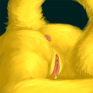 Ass Close Up Solo - e621 anus butt cat close-up crotch_shot feline female fur mammal missoro  nude pussy pussy_juice