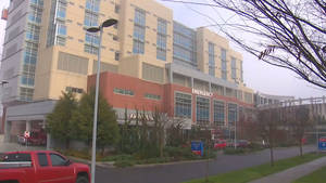 homemade pussy seatac - hot hairy pussy movies Hundreds of Good Samaritan patients await test  results after possible Hepatitis C exposure