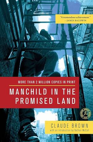 Drugged Aunt Porn - Manchild in the Promised Land by Brown, Claude