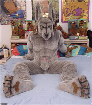 Gay Plushophilia Porn - Plushophilia!