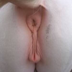 Mare Vagina Porn - This girl vagina as a mare. Big and fleshy. - XVIDEOS.COM