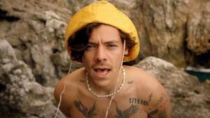 Harry Styles Gay Porn - Harry Styles Teases He Has The 'Best Schlong Ever' In New Picture