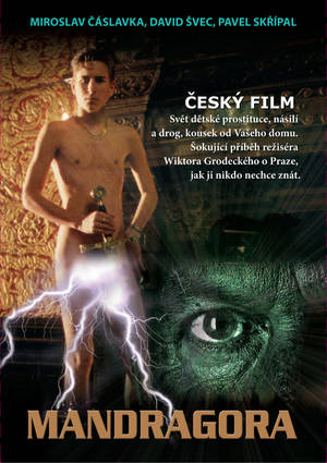 Nora Seibel Porn - ... el sexo... Es un mundo opresivo y asÃ­ estÃ¡ representado, como una  mandrÃ¡gora, esa raÃ­z con forma de hombrecitos de olor fÃ©tido pero poderes  afrodisÃ­acos ...