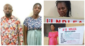 Grandma Pregnant Porn - Shocking!! Grandma, Pregnant Woman, Other In NDLEA Net Over 5,527.15  Kilograms Of Methamphetamine, Cannabis Sativa | The Pledge