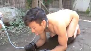 Asian Human Pet Porn Asian - Asian dog slave 1 - ThisVid.com