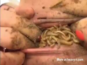 Insect Pussy Insertion - Worms Insect Pussy Insertion Videos - Free Porn Videos