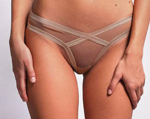 backless panties bdsm - Sheer Panties, See Through Panties, Sexy Panties, Erotic Lingerie, Sheer  Bikini,