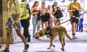 Invasive Strip Search - Teen was told show officers his genitals during strip search at Sydney  music festival | Daily Mail Online