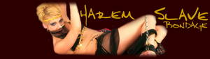 Harem Slave Porn - Harem Slave Bondage
