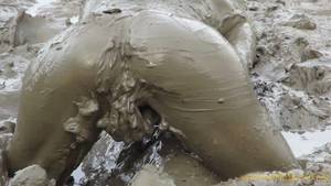 Mud Pussy Porn - Breaking In The First Mud of 2017 W/ Big Orgasms!