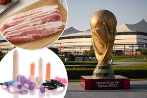 Fifa Sex Porn - Pork, porn and sex toys banned from World Cup 2022 in Qatar, countryhumans  world cup - thirstymag.com