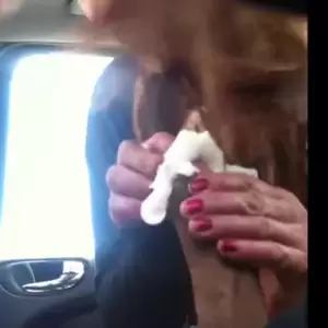 chinese whore blowjob - Real NASTY Asian Hooker Blowjob | xHamster