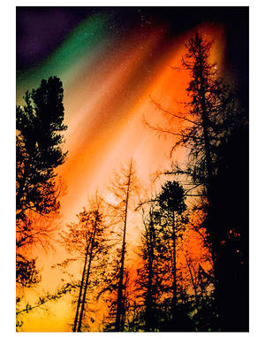 Aurora Sky Porn - Orange Aurora Borealis Northern lights aurora
